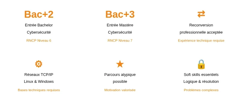 Infographie alternance cybersecurite nexa