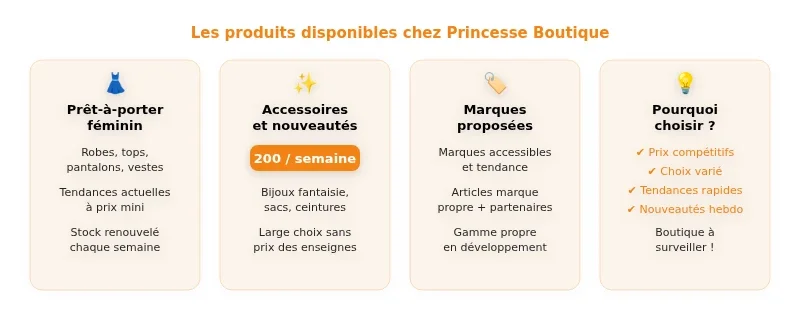 Infographie princesse boutique
