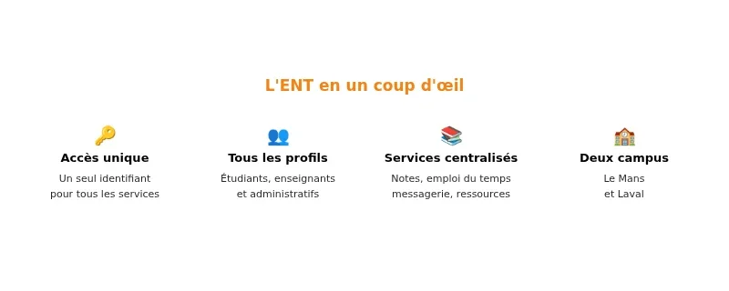 Infographie ent le mans univ