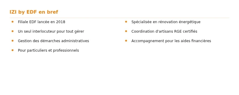 Infographie izi edf