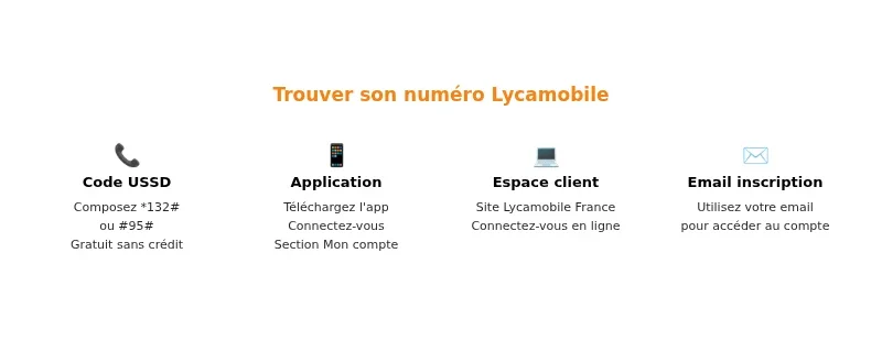Infographie numero lycamobile