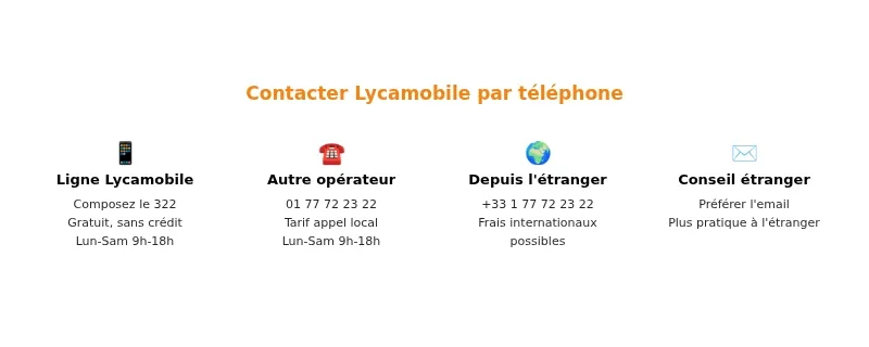 Infographie numero lycamobile
