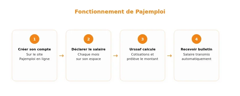 Infographie pajemploi