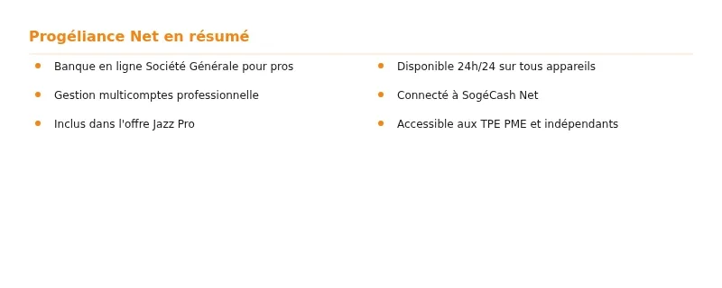 Progéliance : guide complet pour gérer vos comptes professionnels en ligne Infographie progeliance