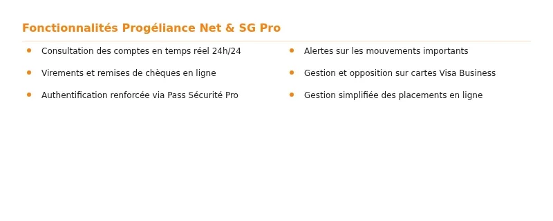 Progéliance : guide complet pour gérer vos comptes professionnels en ligne Infographie progeliance